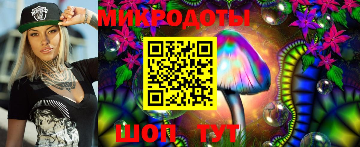 Галлюциногенные грибы Psilocybe  Вход с VPN  Избербаш 